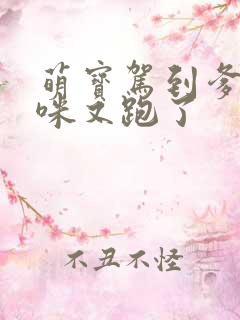 萌宝驾到爹地妈咪又跑了