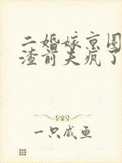 二婚嫁京圈大佬渣前夫疯了免费阅读全文