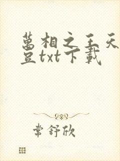 万相之王天蚕土豆txt下载