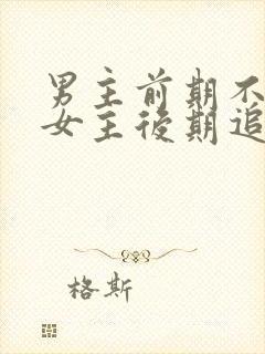 男主前期不喜欢女主后期追妻火葬场