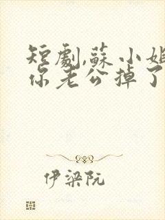 短剧,苏小姐,你老公掉了