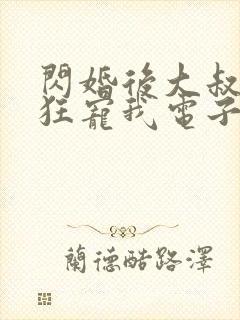 闪婚后大叔每天狂宠我电子书阅读