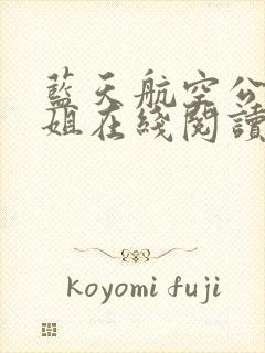 蓝天航空公司空姐在线阅读