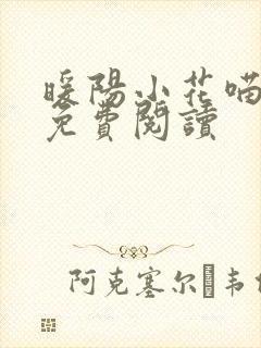 暖阳小花喵小说免费阅读