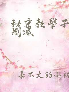 秘密教学子豪无删减
