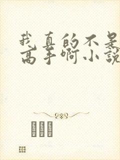我真的不是绝世高手啊小说