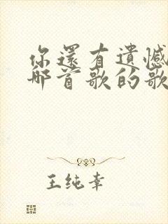 你还有遗憾吗是哪首歌的歌词