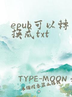 epub可以转换成txt