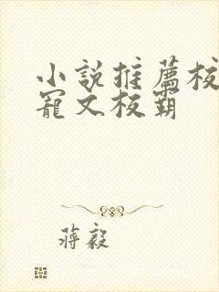 小说推荐校园甜宠文校霸