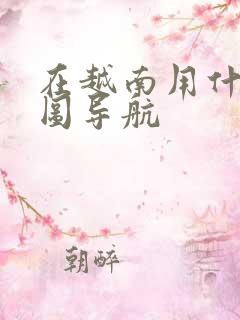 在越南用什么地图导航