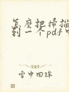 怎么把扫描件放到一个pdf中