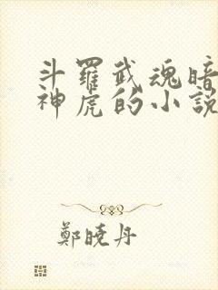 斗罗武魂暗魔邪神虎的小说