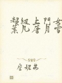 超级上门女婿 叶凡唐月雪小说免费阅读