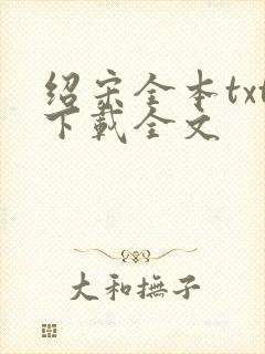 绍宋全本txt下载全文