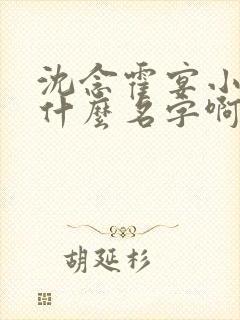 沈念霍宴小说叫什么名字啊