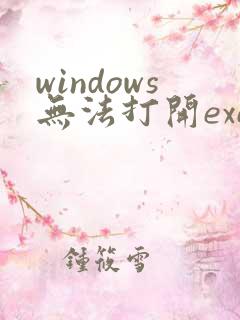 windows无法打开exe文件怎么办