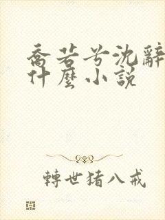 乔若兮沈辞安是什么小说