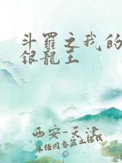 斗罗之我的老婆银龙王