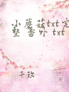 小蘑菇txt完整 番外 txt