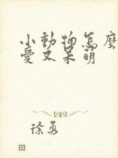 小动物怎么画可爱又呆萌