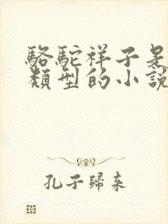 骆驼祥子是什么类型的小说