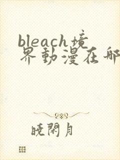 bleach境界动漫在哪里可以看全集