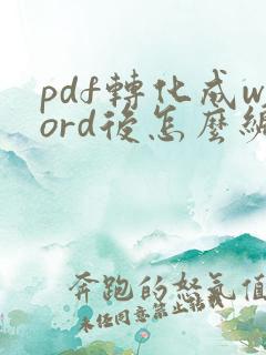 pdf转化成word后怎么编辑
