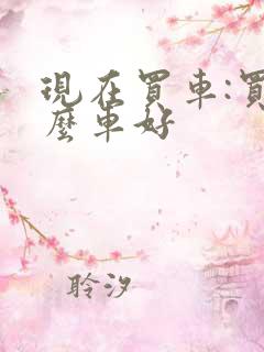 现在买车:买什么车好