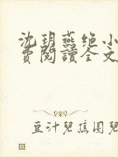 沈玥燕绝小说免费阅读全文最新章节