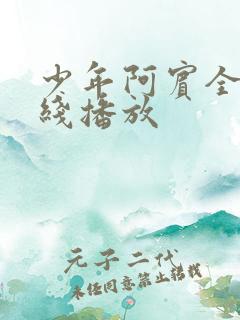 少年阿宾全集在线播放