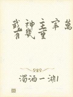 武神主宰万神诀有几重