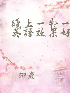 线上一对一外教英语效果好吗