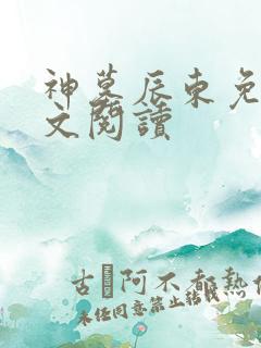 神墓辰东免费全文阅读