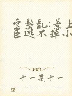 云鬓乱:惹上奸臣逃不掉小说免费阅读