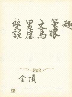 双男文笔趣阁小说虐马眼