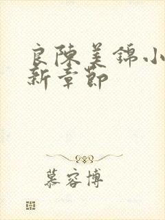 良陈美锦小说最新章节