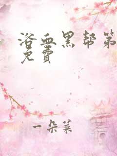 浴血黑帮第六季免费