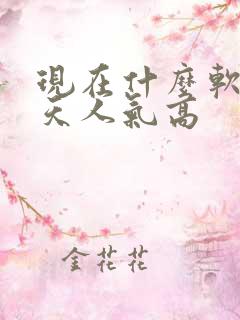 现在什么软件聊天人气高