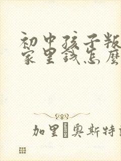 初中孩子叛逆偷家里钱怎么办