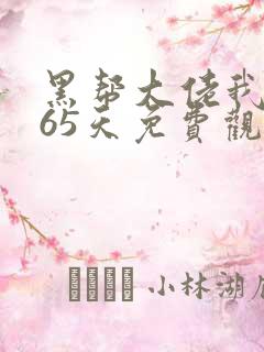 黑帮大佬我的365天免费观看