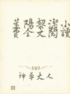 叶阳黎洁小说免费全文阅读最新章节