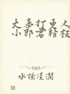 大奉打更人卖报小郎君精校版