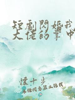 短剧闪婚我成了大佬的掌中之物