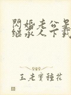 闪婚老公是豪门继承人下载