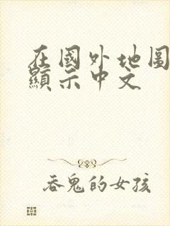 在国外地图怎么显示中文