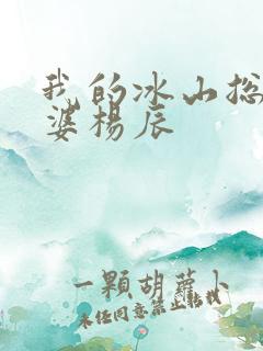 我的冰山总裁老婆杨辰