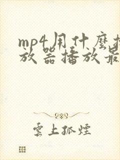 mp4用什么播放器播放最好