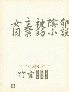 女主被阴郁疯批囚禁的小说