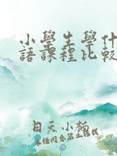 小学生学什么英语课程比较好