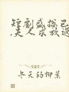 短剧盛总已老实,夫人求放过